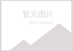 鹤壁山城曹培化学有限公司